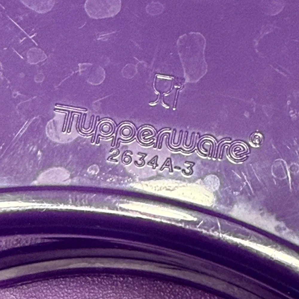 Tupperware Large Serving Tray with Adjustable Divider Sections